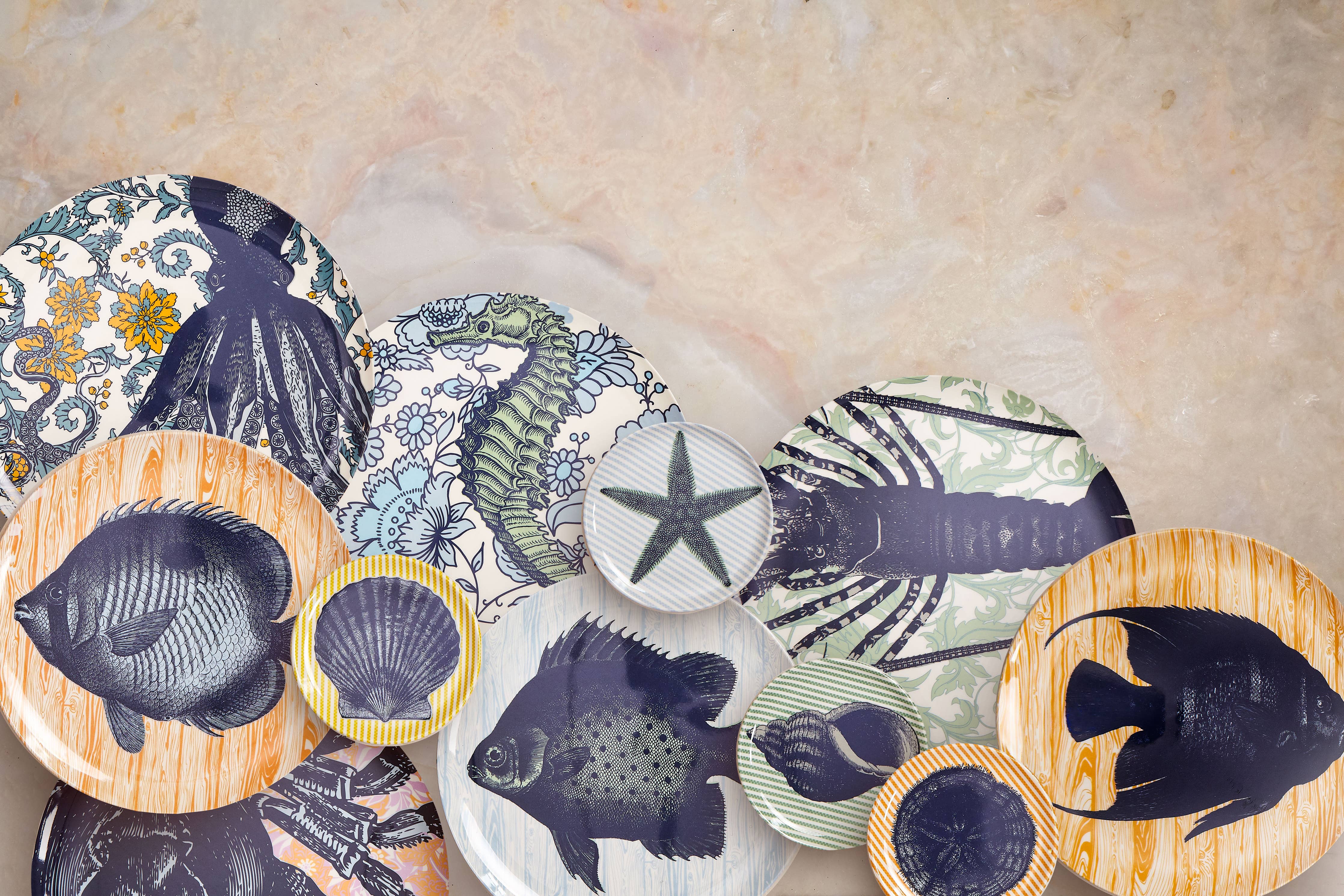 Dinner Plates Set