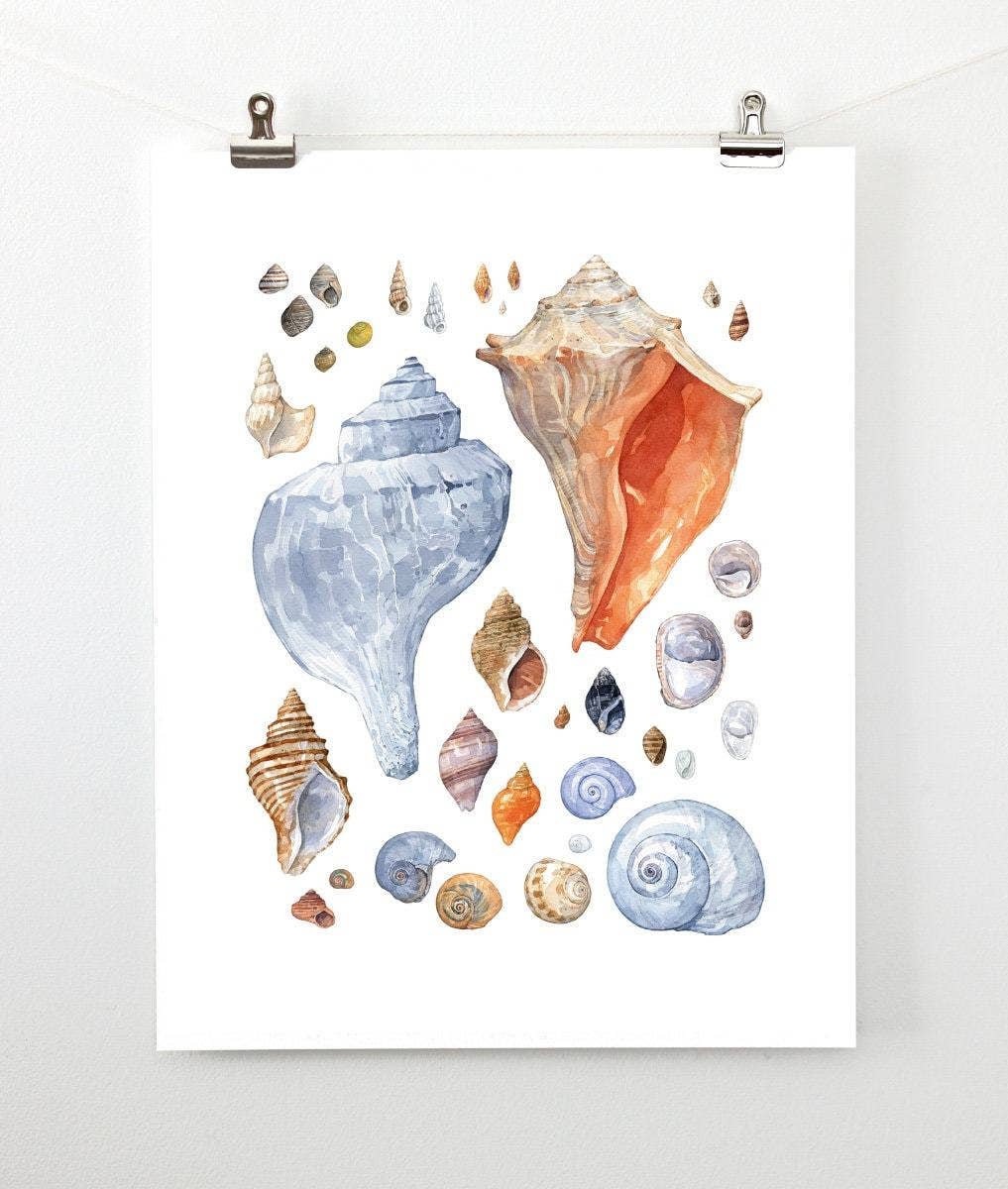 Studio Tuesday -Watercolor Shells 11x14 Print