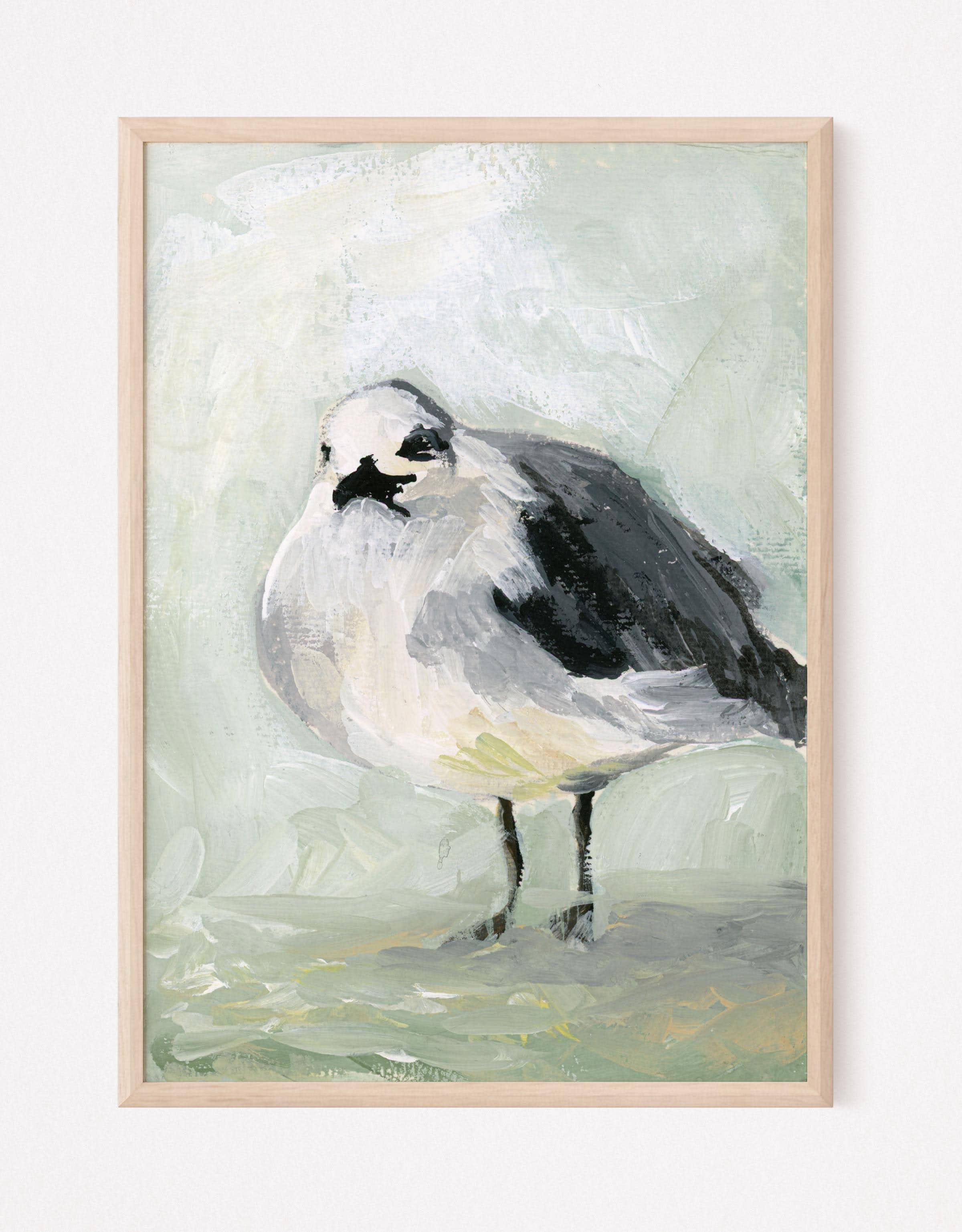 Amanda Wathen Fine Art - Rodger Red Seagull 8x10 borderless Print