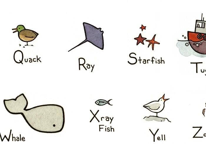 Studio Tuesday - Ocean Alphabet Illustrated 11x14 Print