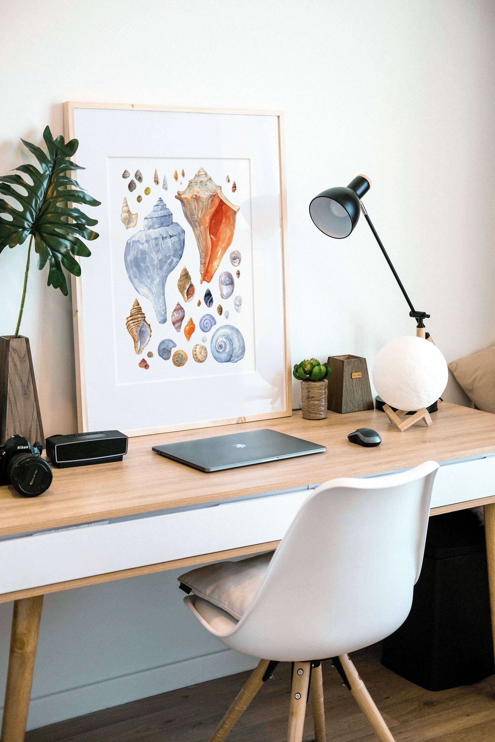 Studio Tuesday -Watercolor Shells 11x14 Print