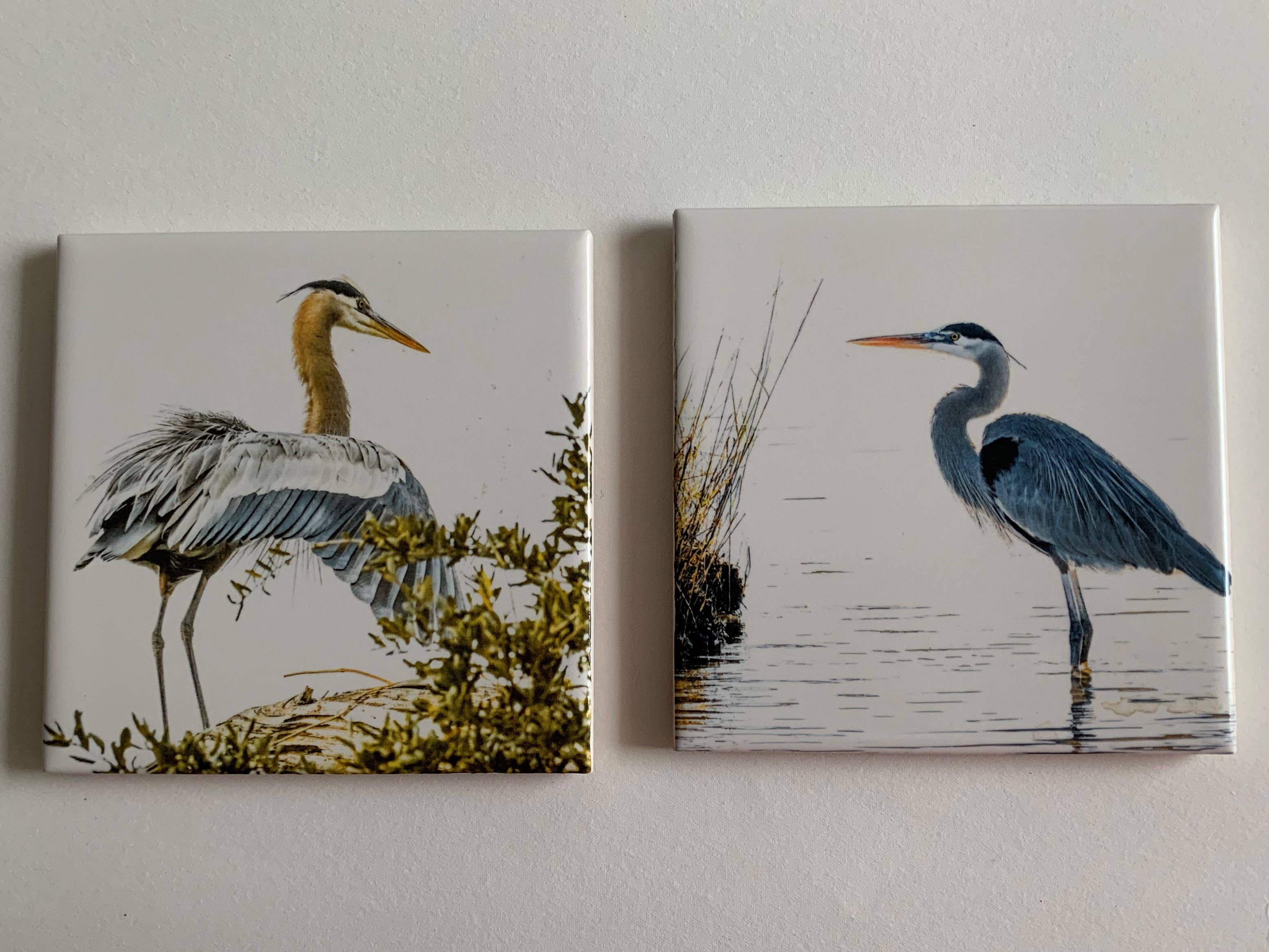 MacHatton & Hall, LLC - Blue Heron Coasters - Mixed set (2) Standing & (2) Nesting
