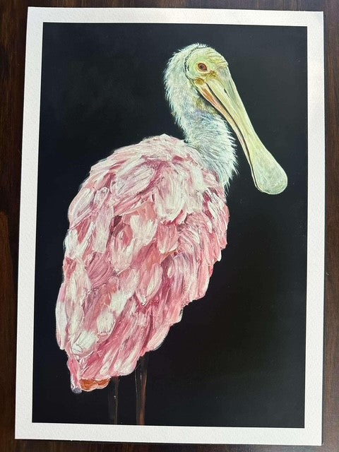Rachel Migliorino- Spoonbill Print 12x8