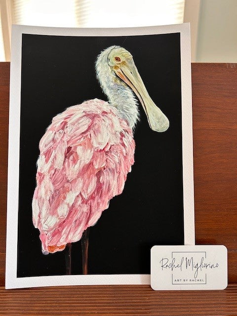 Rachel Migliorino- Spoonbill Print 12x8
